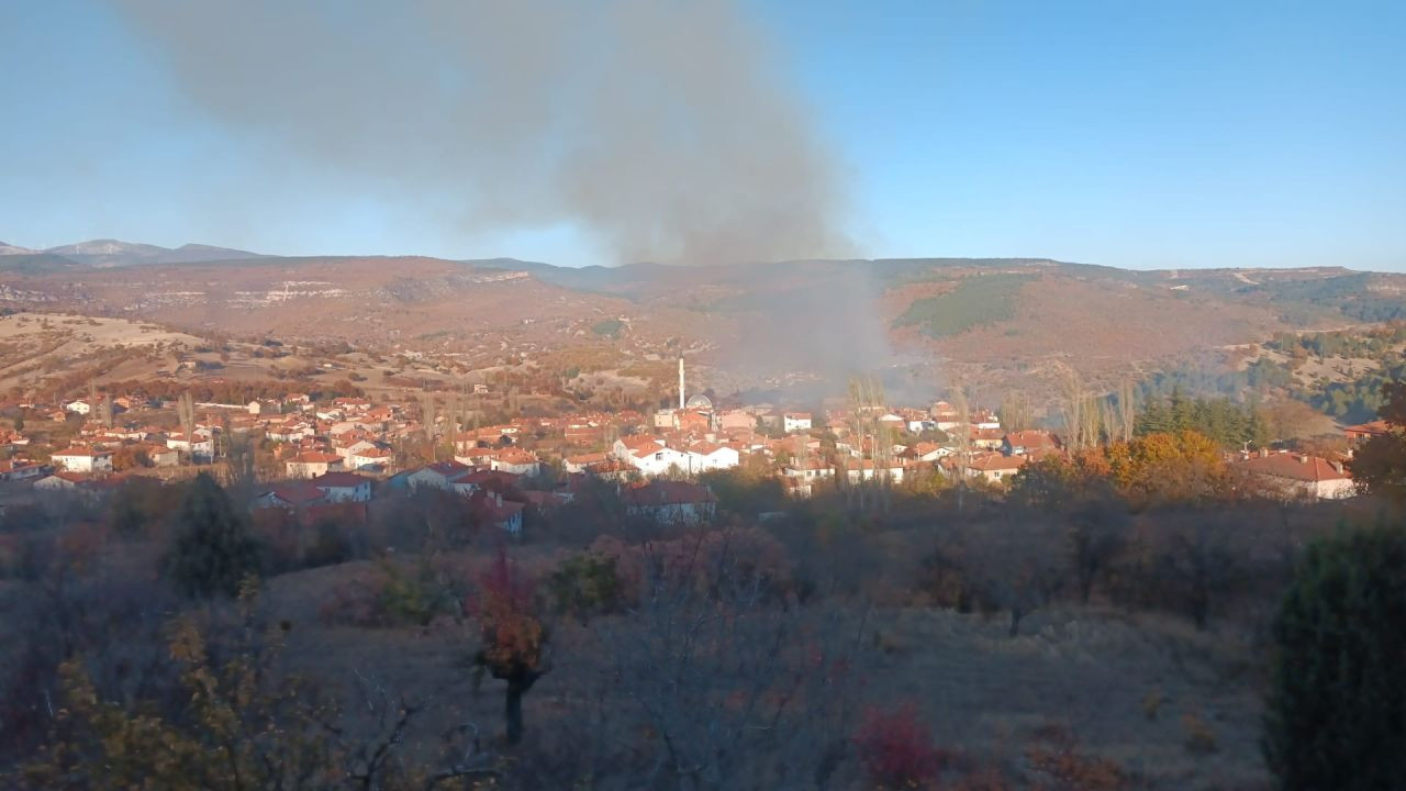 Tavşanlı'nın Kızılçukur köyünde korkutan yangın - Sayfa 2