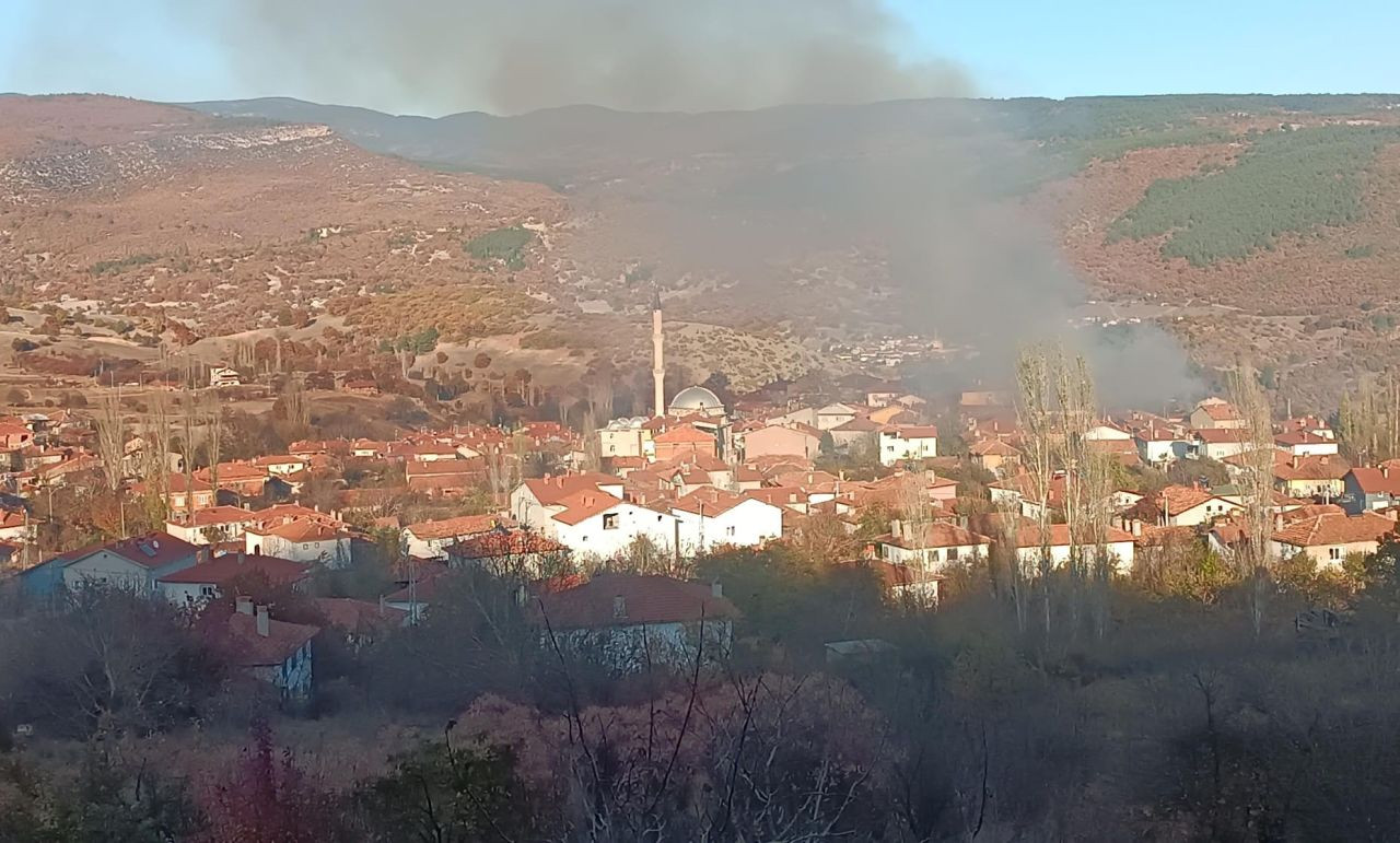 Tavşanlı'nın Kızılçukur köyünde korkutan yangın - Sayfa 1