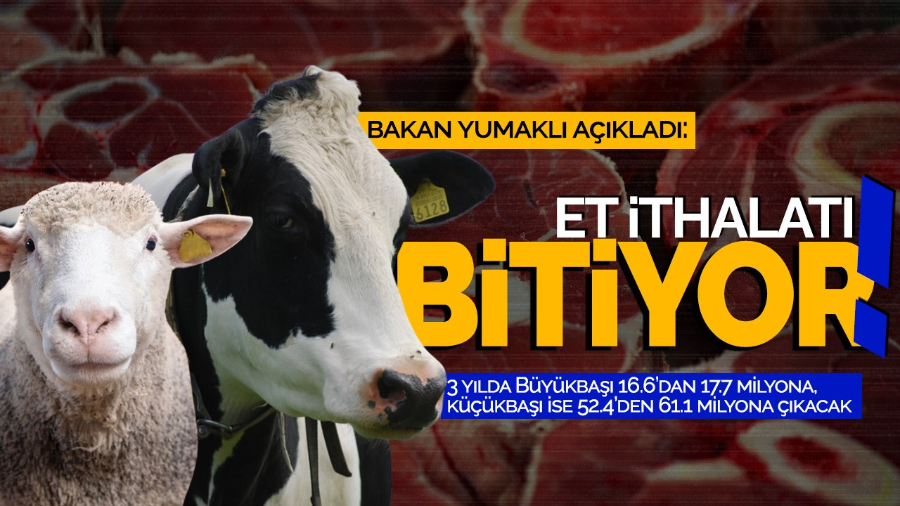 Et ithalatı bitiyor! Bakan Yumaklı açıkladı''Et ithalatını 3 yılda bitireceğiz''