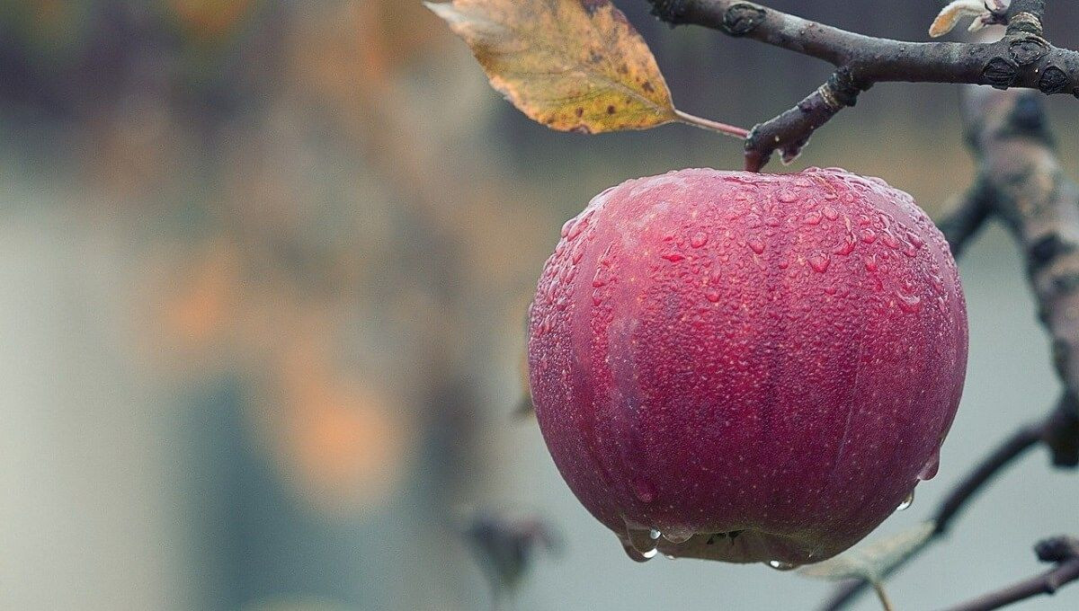 Yediğiniz anda etkisini gösterip kabızlığı bitiriyor! - Sayfa 37