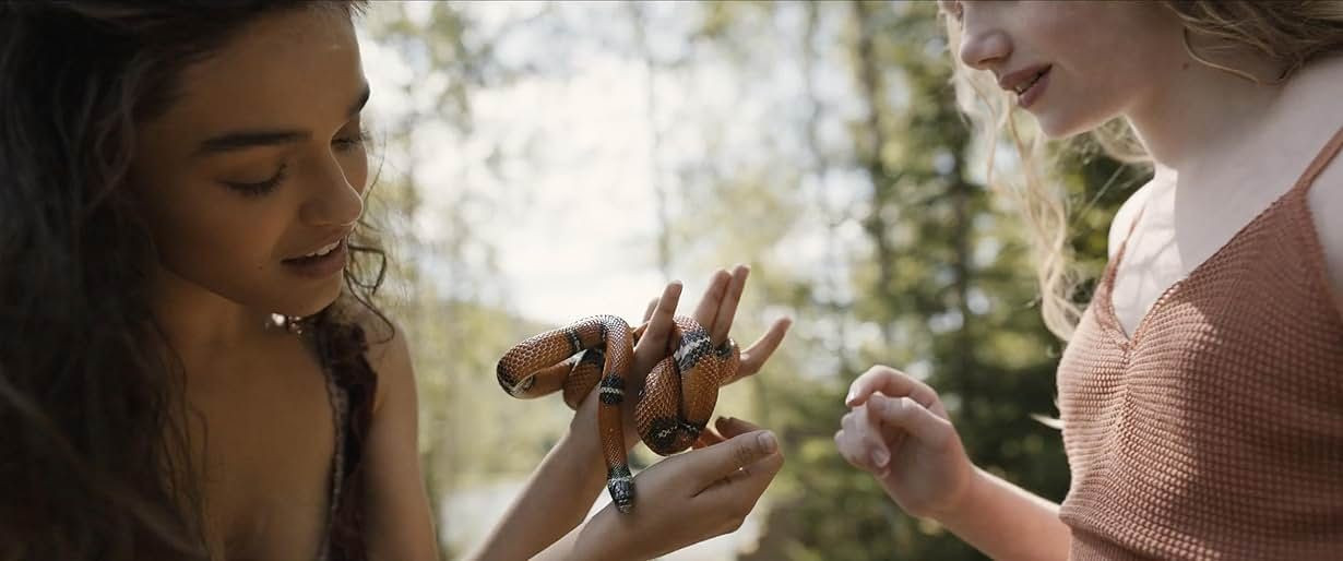 Tigris'in Songbirds ve Snakes ile Açıklanmayan Geçmişi: Hunger Games Arasındaki Yolculuk - Sayfa 19