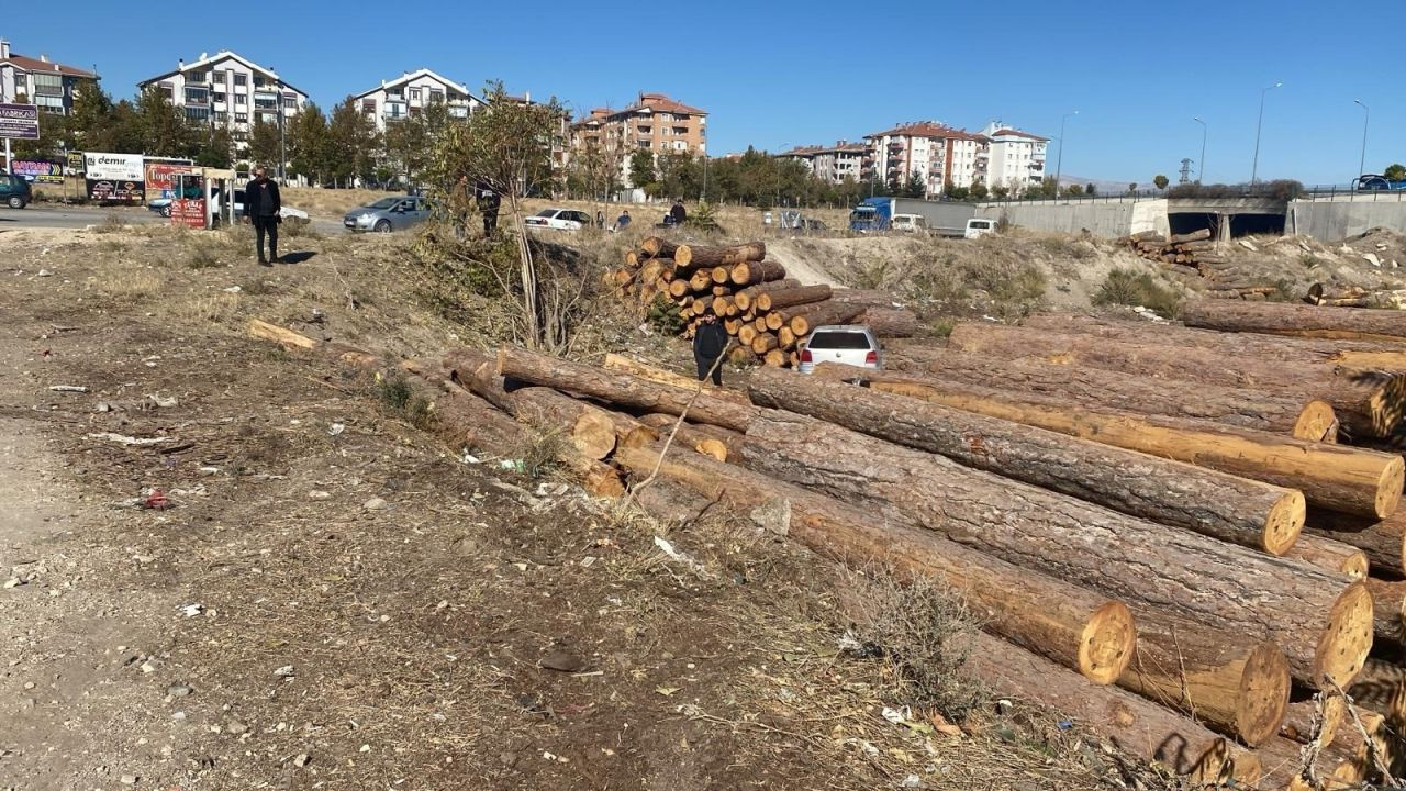 Isparta’da kontrolden çıkan otomobil tomrukların üzerinden düştü: 2 yaralı - Sayfa 5