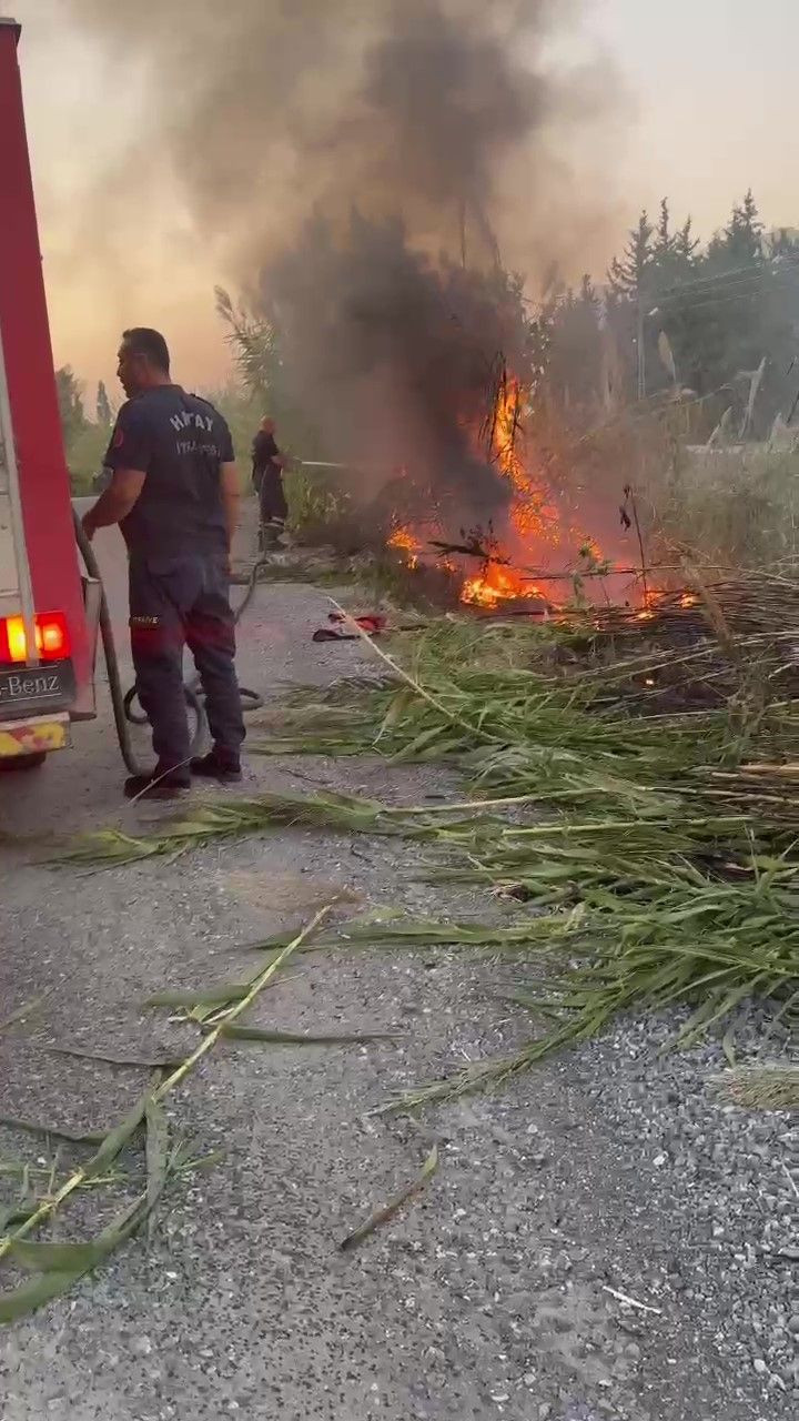 Arsuz’da Dere Yataklarında Yangın: Otlar Alev Alev Yandı - Sayfa 2