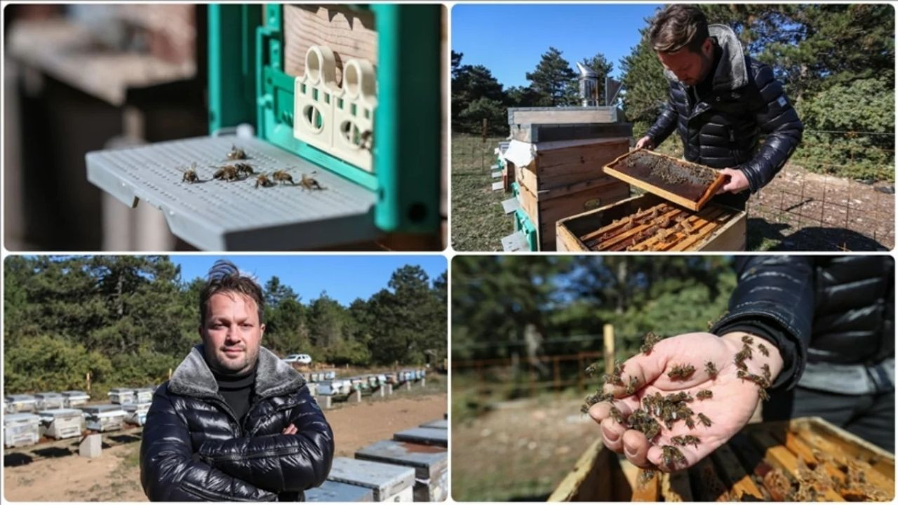 Arı Alerjisini Yendi, Uludağ Eteklerinde Kestane Balı Üretiyor - Sayfa 4