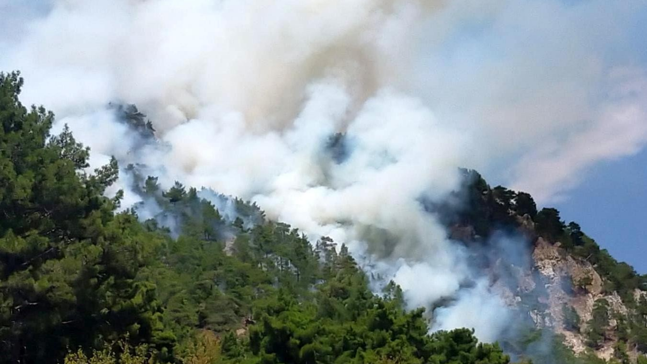 Antalya'da orman yangını