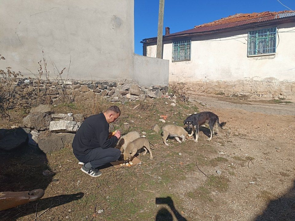 Gazeteciden yavru köpeğe hayat kurtaran heimlich müdahalesi - Sayfa 5