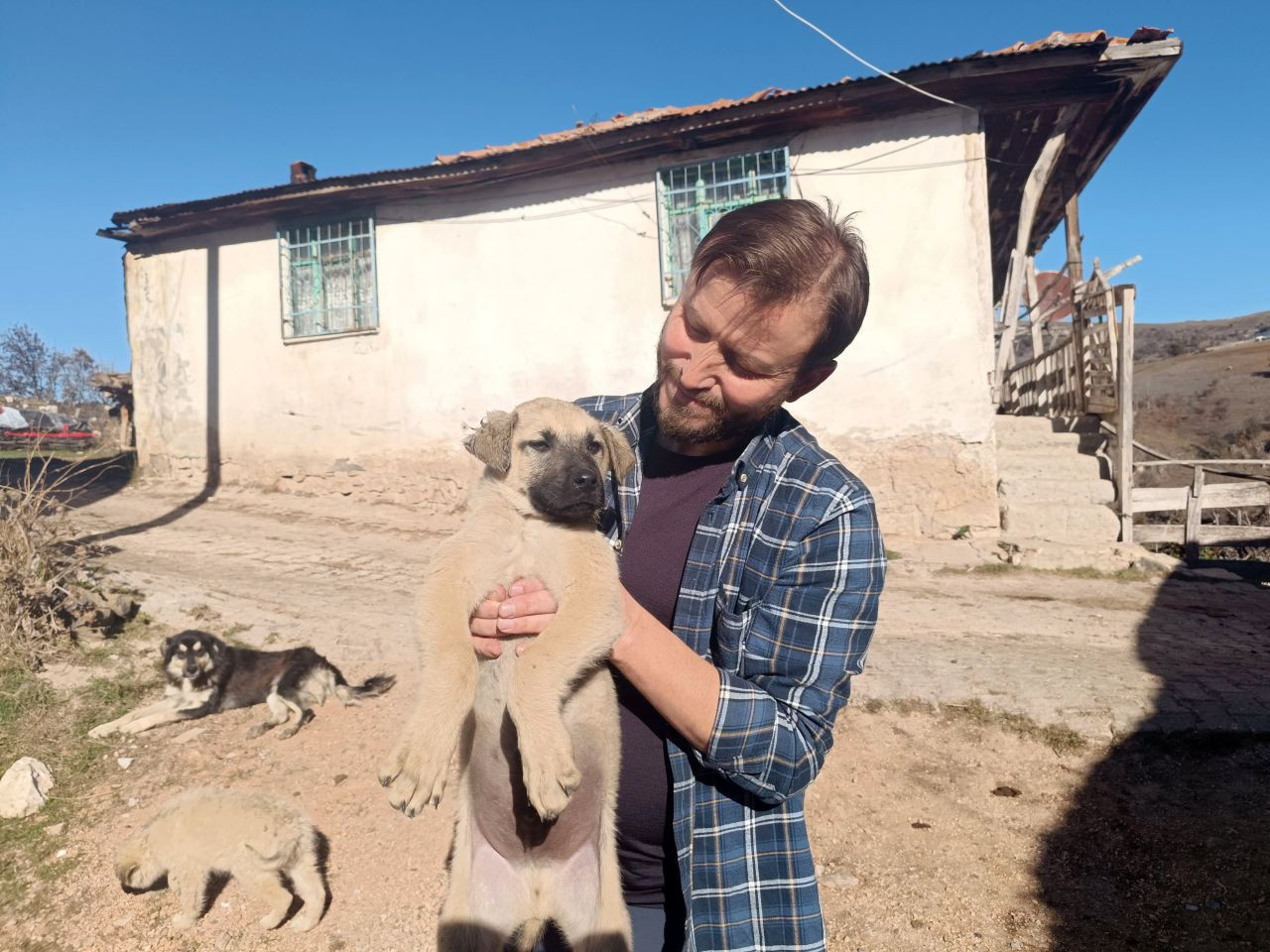 Gazeteciden yavru köpeğe hayat kurtaran heimlich müdahalesi - Sayfa 3