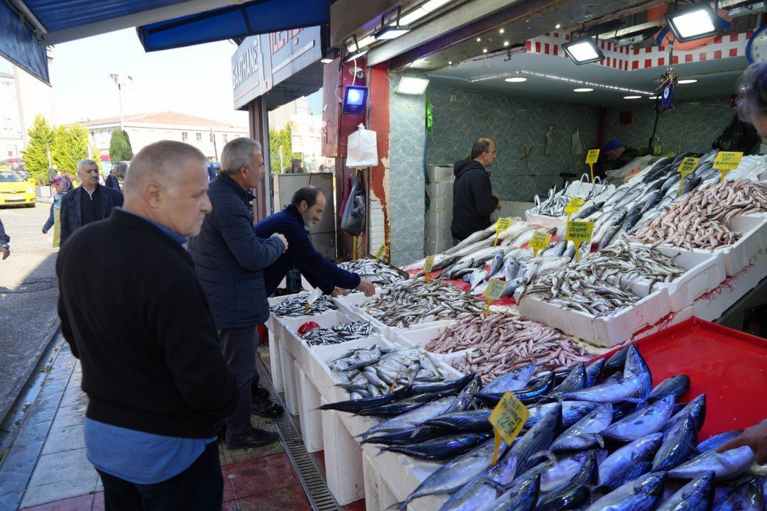 Ucuz palamut için son günler - Sayfa 5