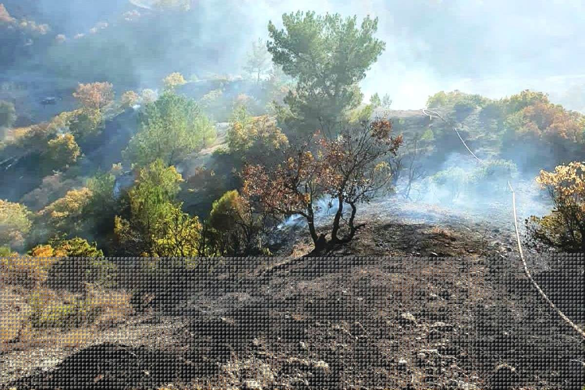 Kütahya'da Çıkan Yangınlarda 6,2 Hektar Alan Zarar Gördü - Sayfa 3