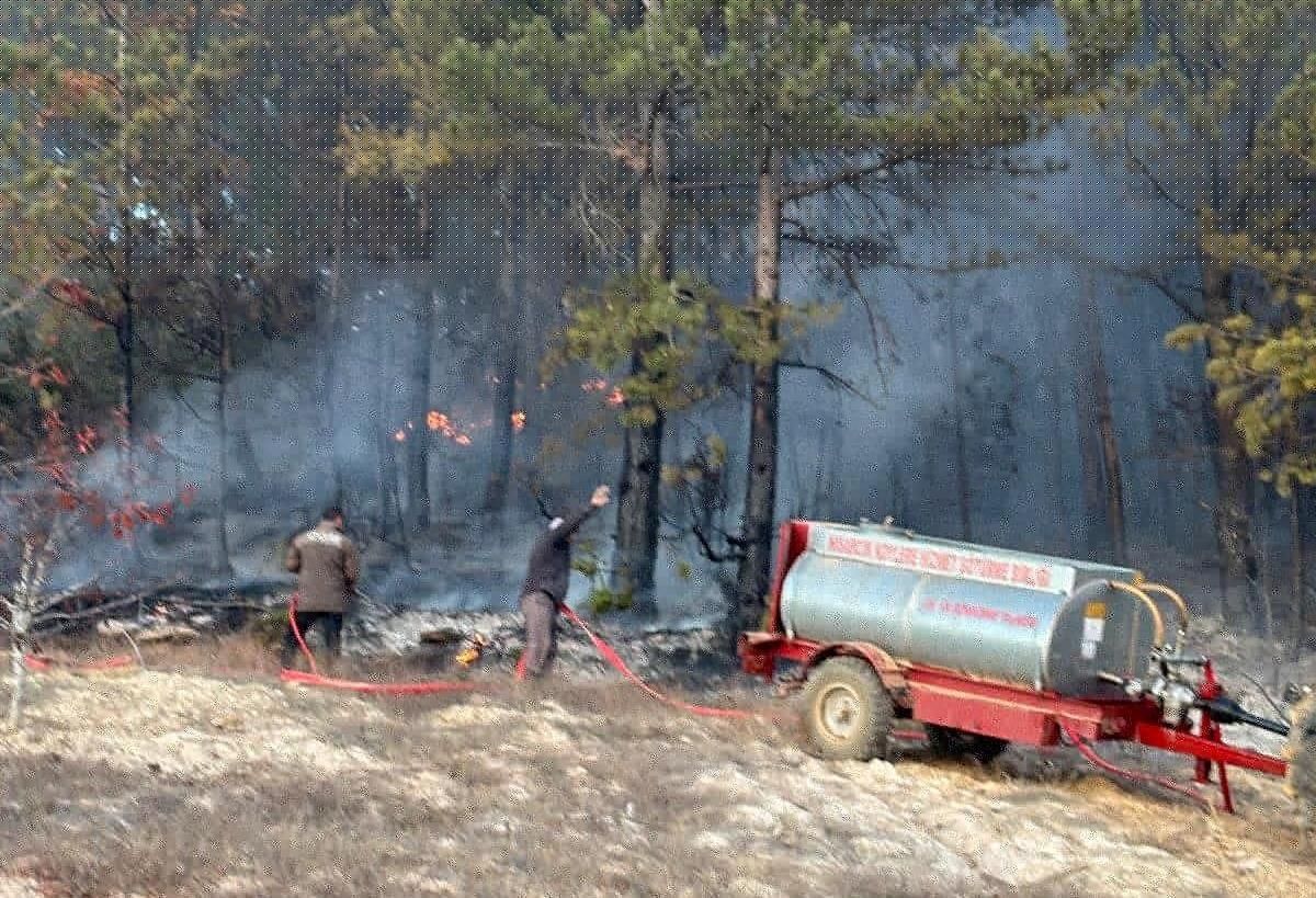 Kütahya'da Çıkan Yangınlarda 6,2 Hektar Alan Zarar Gördü - Sayfa 4