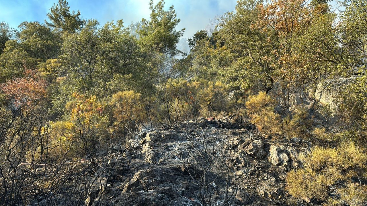 Kumluca’daki Orman Yangını Kısmen Kontrol Altına Alındı - Sayfa 2