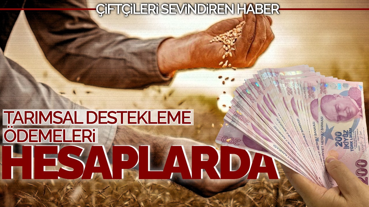 Çiftçileri sevindiren haber: Tarımsal destekleme ödemeleri hesaplarda!