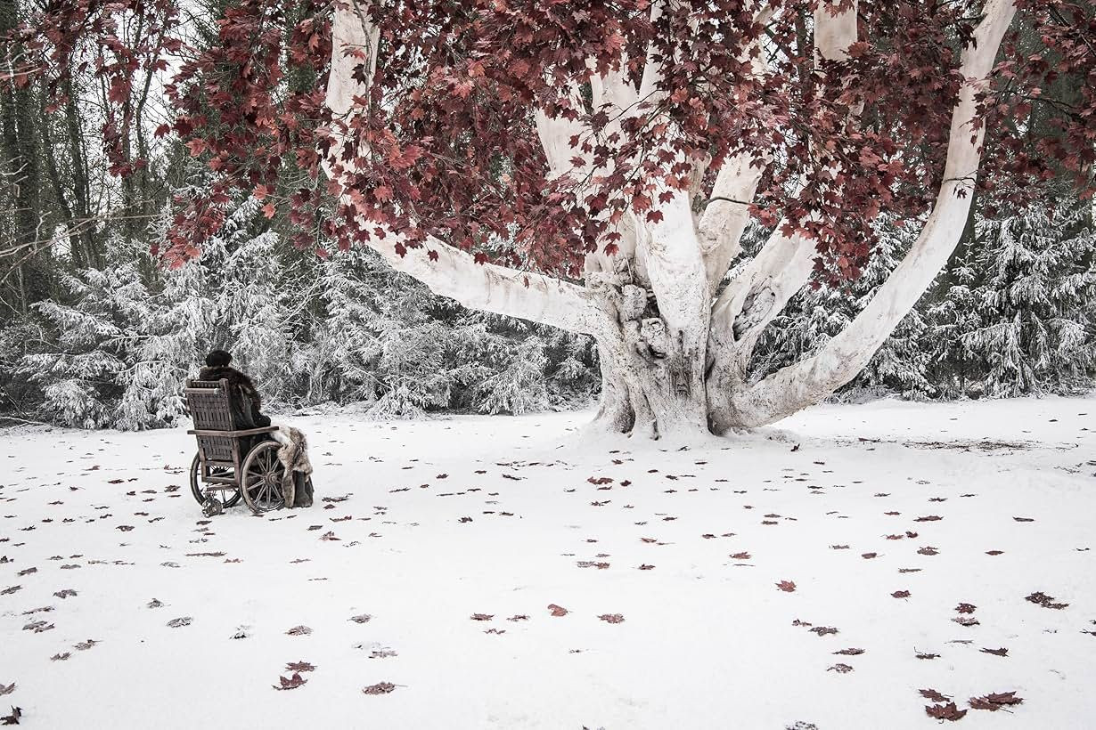 Jon Snow'un Soy Ağacı GRRM'nin Orijinal Planını Daha Etkileyici Kılıyor - Sayfa 4