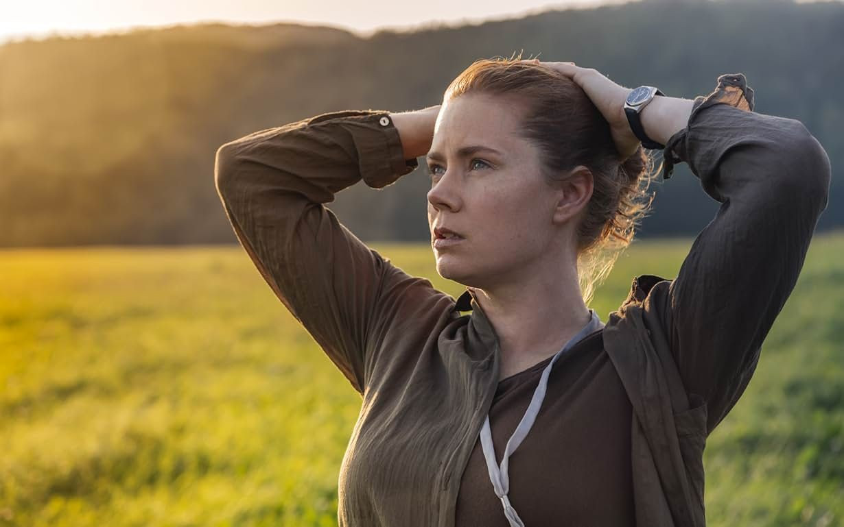 "Yazık": Denis Villeneuve, Amy Adams'ın Arrival'da Oscar’a Aday Gösterilmemesine Üzgün - Sayfa 17