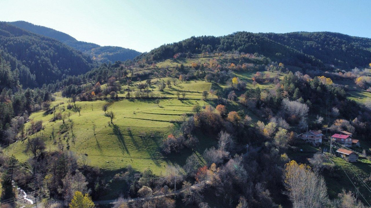 Ilgaz Dağı'nın eteklerinde Sonbahar görenleri mest ediyor - Sayfa 2