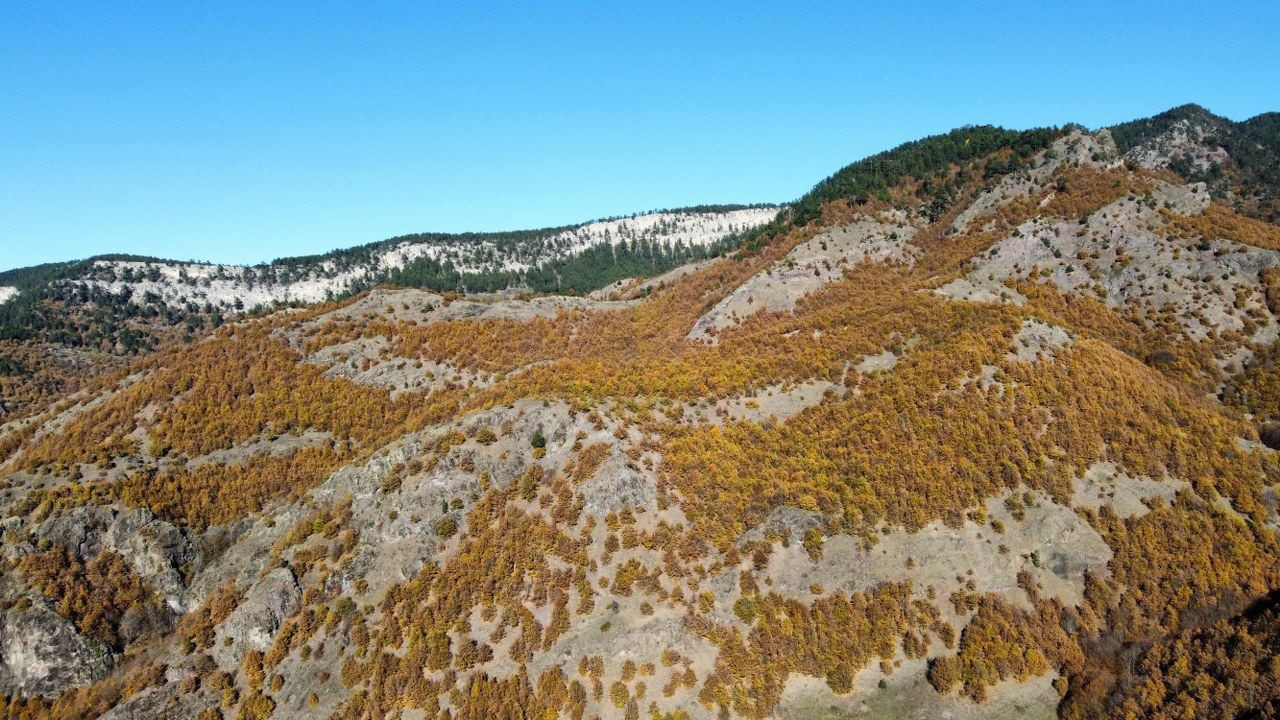 Ilgaz Dağı'nın eteklerinde Sonbahar görenleri mest ediyor - Sayfa 4