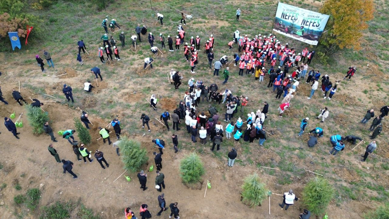 3 bin 200 fidan Yalova'da toprakla buluştu - Sayfa 1