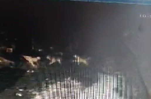 Çalındı Sanılan Köpek, Kurtların Saldırısına Uğradı: O Anlar Kamerada - Sayfa 2