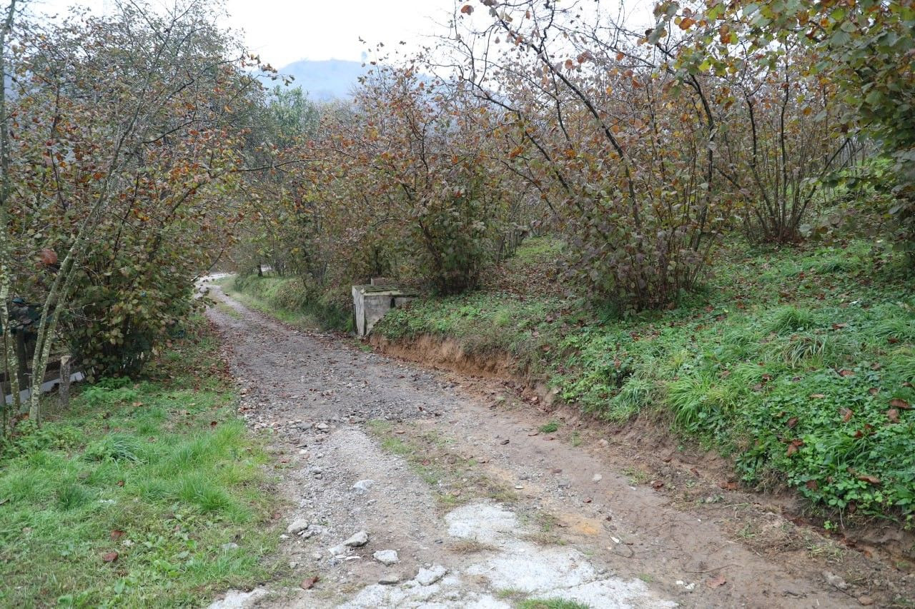 Çalındı Sanılan Köpek, Kurtların Saldırısına Uğradı: O Anlar Kamerada - Sayfa 5