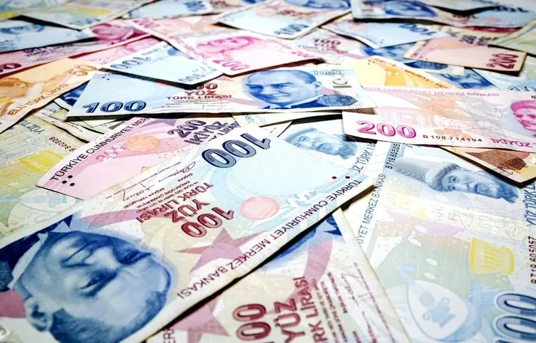 Asgari Ücret 2025 İçin 4 Farklı Senaryo: Merkez Bankası Verileriyle Yeni Rakamlar - Sayfa 16