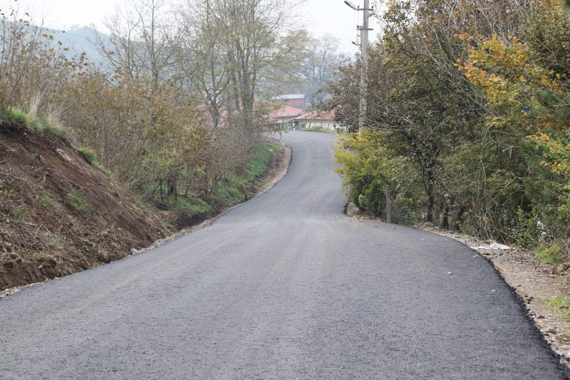 Hendek'te asfaltlar yenilendi - Sayfa 4