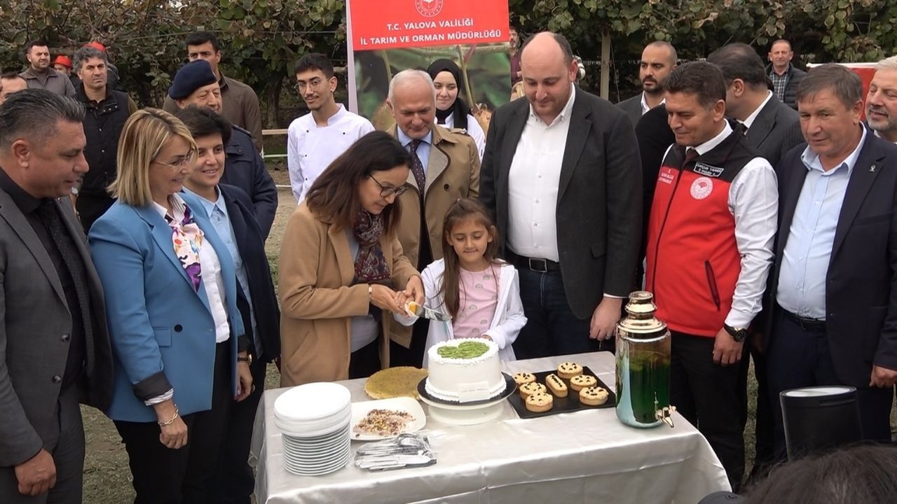 Kivi Hasat Şenliği Yalova da renkli görüntülere sahne oldu - Sayfa 1