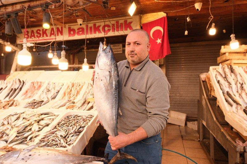 Mersin'de Dev Torik Balığı Bin 500 Liradan Alıcı Buldu - Sayfa 3