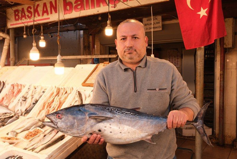 Mersin'de Dev Torik Balığı Bin 500 Liradan Alıcı Buldu - Sayfa 6