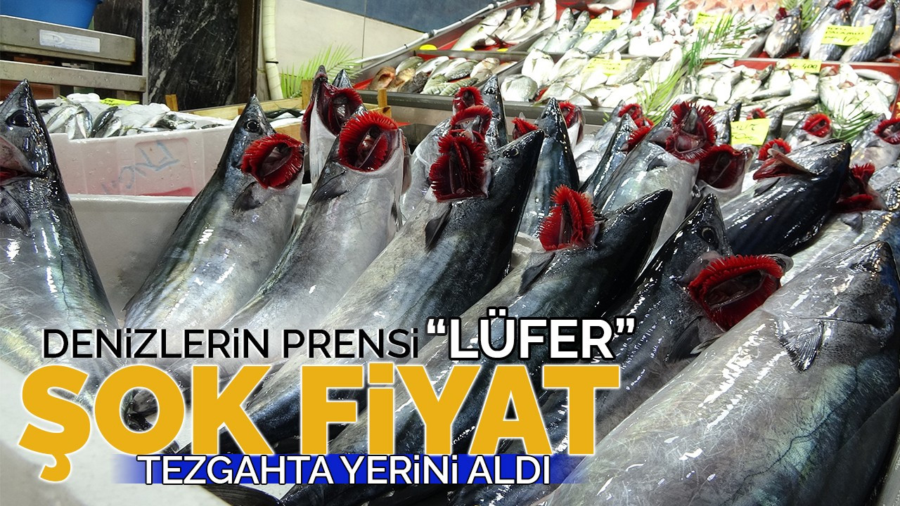 Denizlerin Prensi 'Lüfer' Şok Fiyatı İle Tezgahta Yerini Aldı