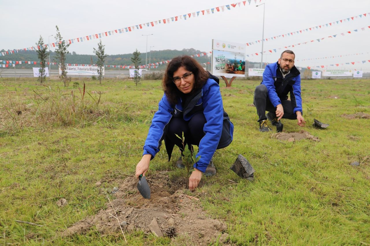 SEDAŞ, Milli Ağaçlandırma etkinliğinde 500 fidan dikimi gerçekleştirdi - Sayfa 2