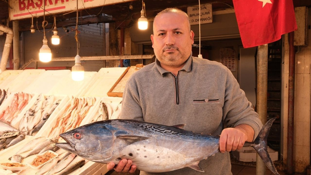 Mersin'de Dev Torik Balığı Bin 500 Liradan Alıcı Buldu