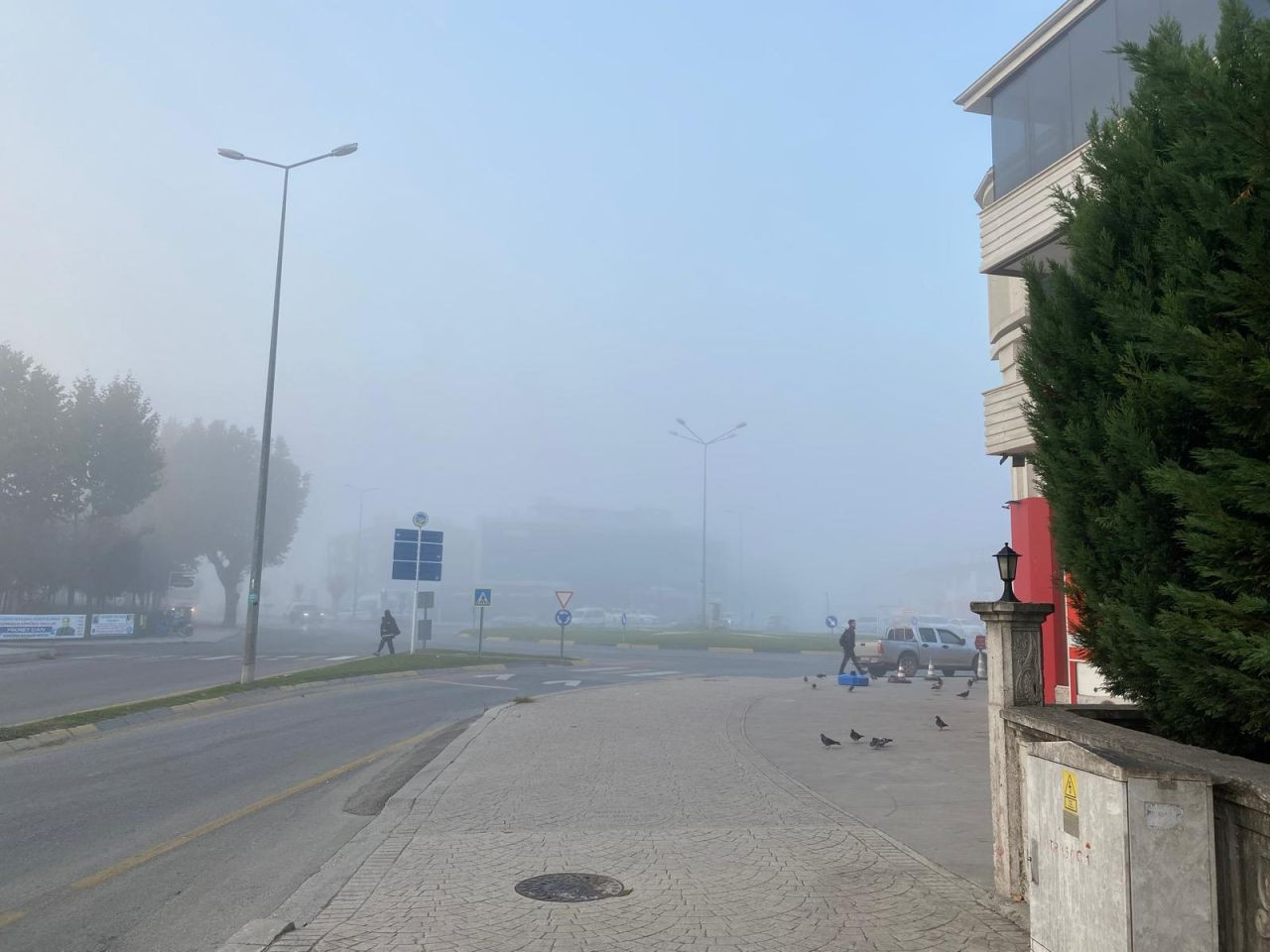 Sakarya'da yoğun sis: Göz gözü görmedi - Sayfa 3