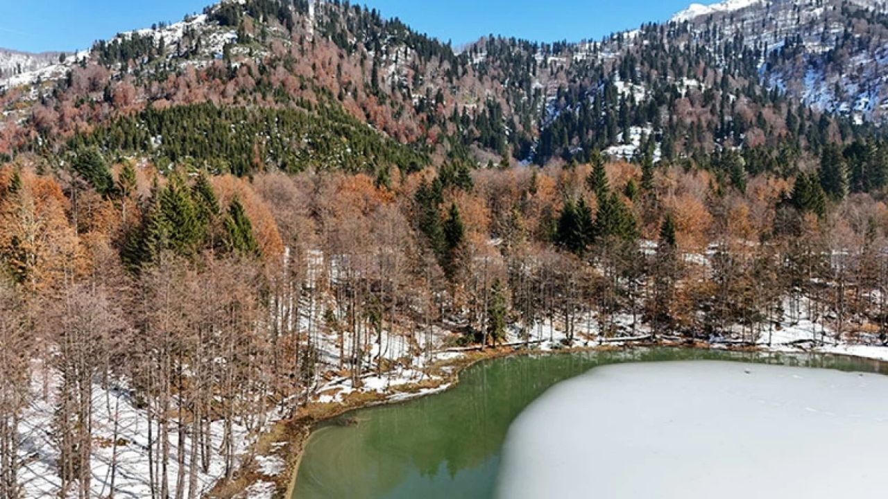 Borçka Tabiat Parkı'nın Kış Ve Sonbahar Birleşimi Görenleri Büyülüyor - Sayfa 1