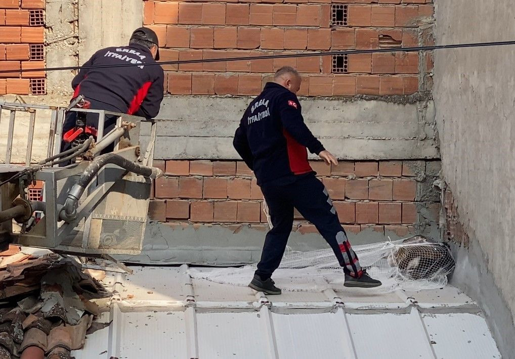 Tokat'ta Bir İş Yerinin Çatısına Akbaba Kondu, Görenler Telefona Sarıldı! - Sayfa 3