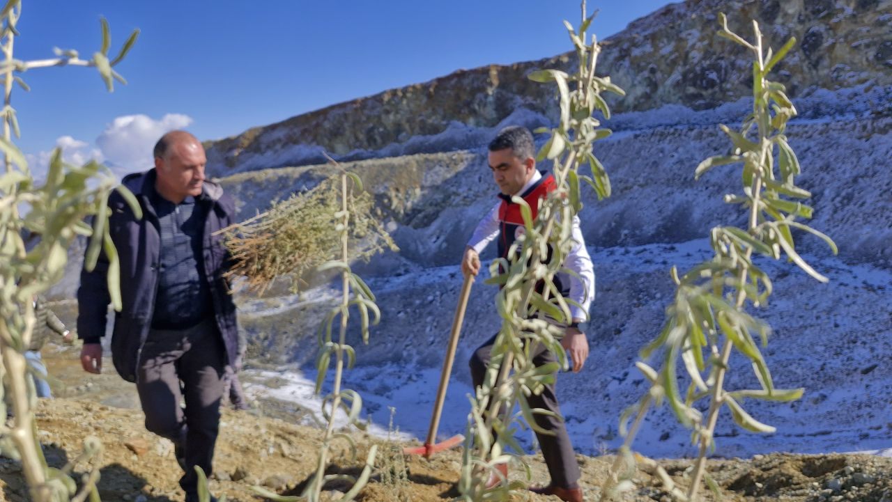 Erzurum'da Meralara Tuz Çalısı Fidesi Ekimi Yapıldı - Sayfa 2