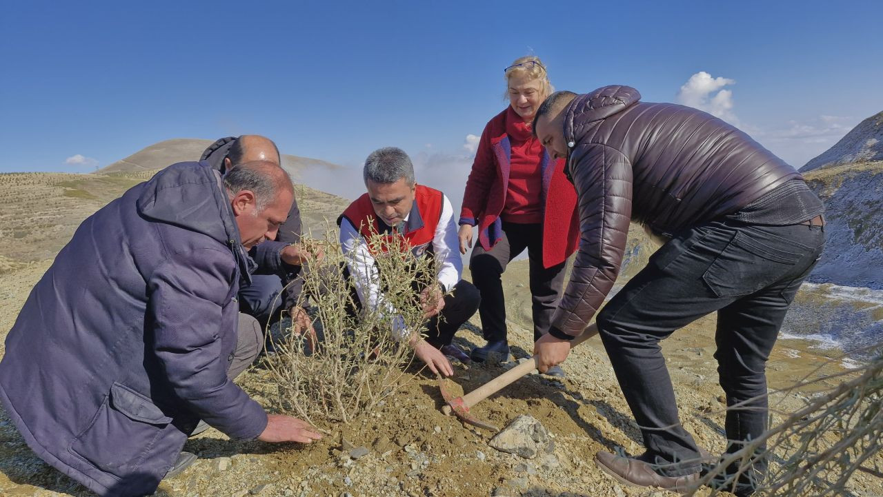 Erzurum'da Meralara Tuz Çalısı Fidesi Ekimi Yapıldı - Sayfa 5