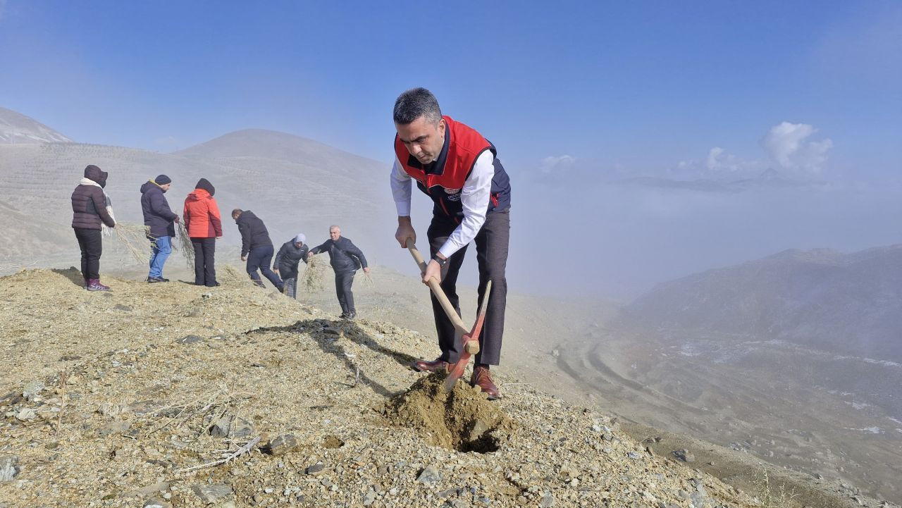 Erzurum'da Meralara Tuz Çalısı Fidesi Ekimi Yapıldı - Sayfa 3