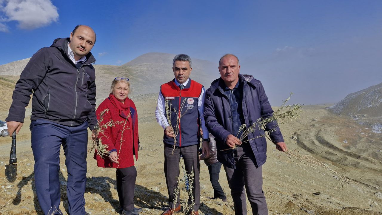 Erzurum'da Meralara Tuz Çalısı Fidesi Ekimi Yapıldı - Sayfa 4