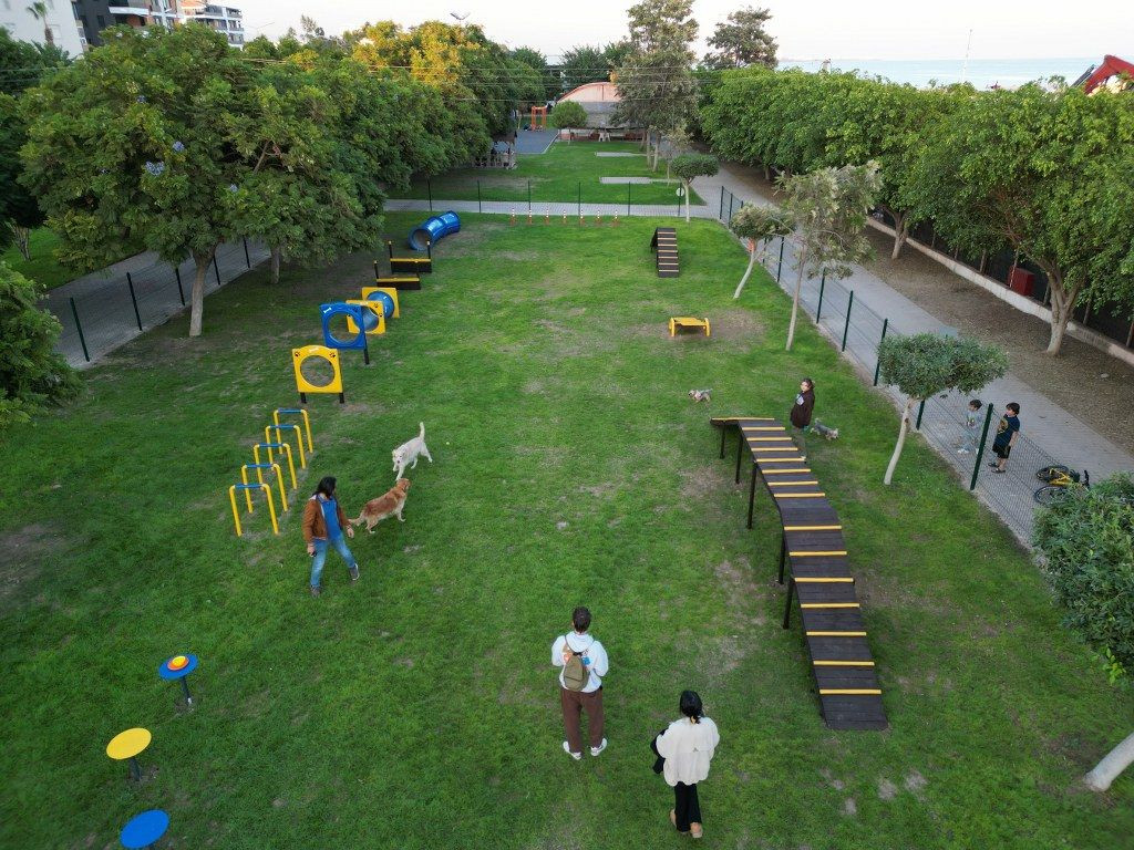 Geri dönüşüm malzemelerinden Pati Park - Sayfa 3