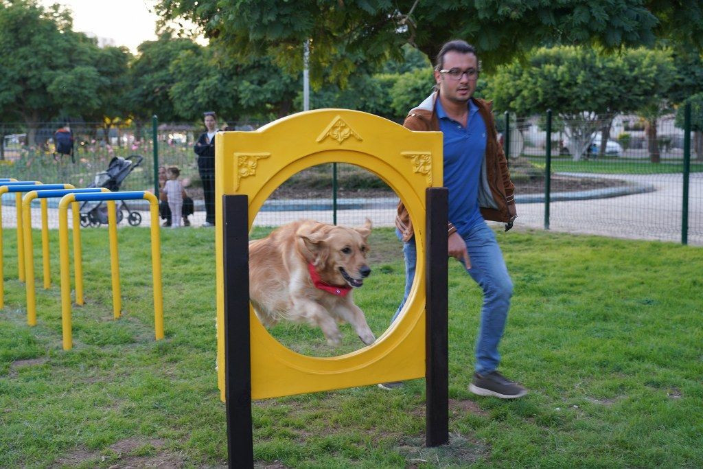 Geri dönüşüm malzemelerinden Pati Park - Sayfa 4