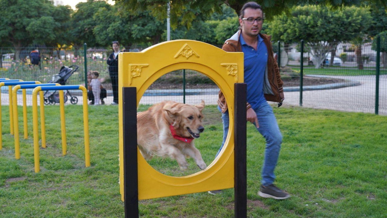 Geri dönüşüm malzemelerinden Pati Park