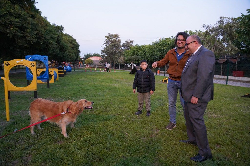 Geri dönüşüm malzemelerinden Pati Park - Sayfa 8