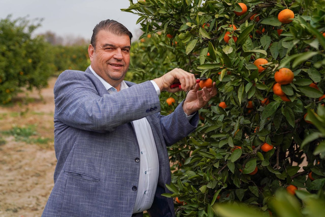 Seferihisar'da Mandalina Şenliği heyacanı - Sayfa 3