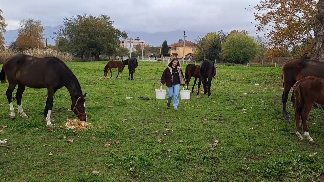 Sakarya'da at sevgisiyle başlayan hobi hipodromda devam ediyor: Kurduğu tesiste yarış atı üretiyor - Sayfa 7