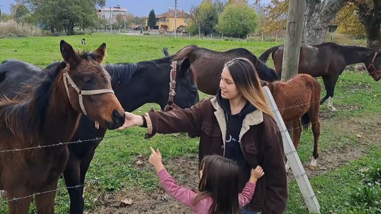 Sakarya'da at sevgisiyle başlayan hobi hipodromda devam ediyor: Kurduğu tesiste yarış atı üretiyor - Sayfa 6