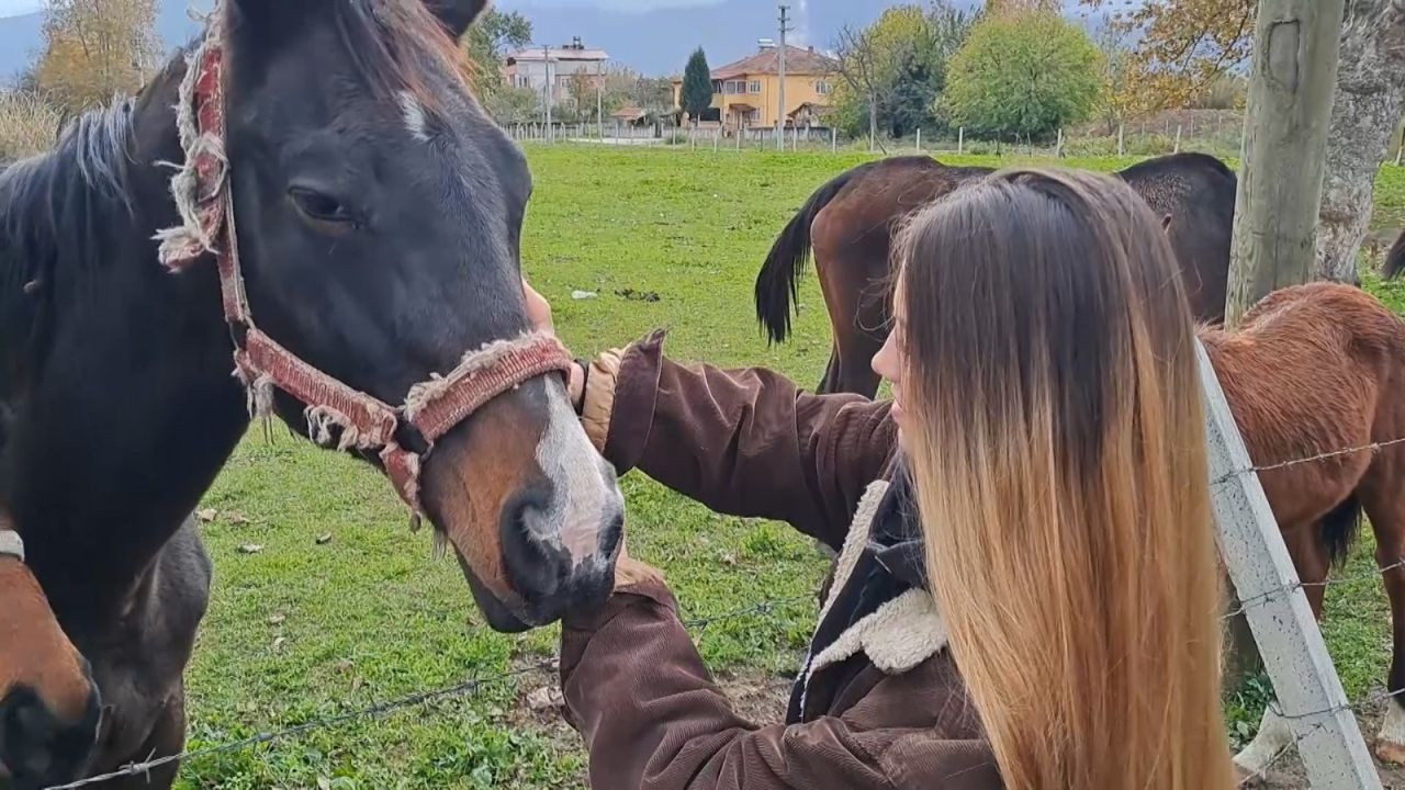 Sakarya'da at sevgisiyle başlayan hobi hipodromda devam ediyor: Kurduğu tesiste yarış atı üretiyor - Sayfa 4