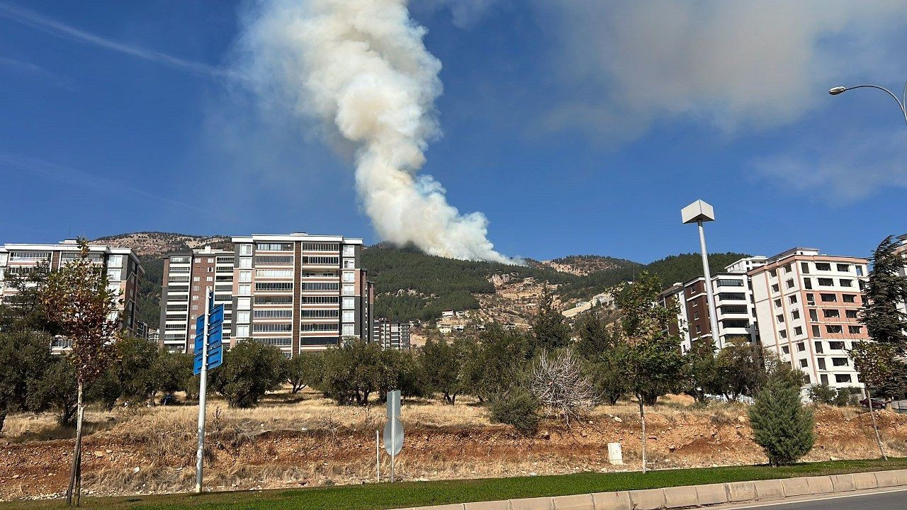 Kahramanmaraş’ta orman yangının kontrolü altına alındı - Sayfa 2