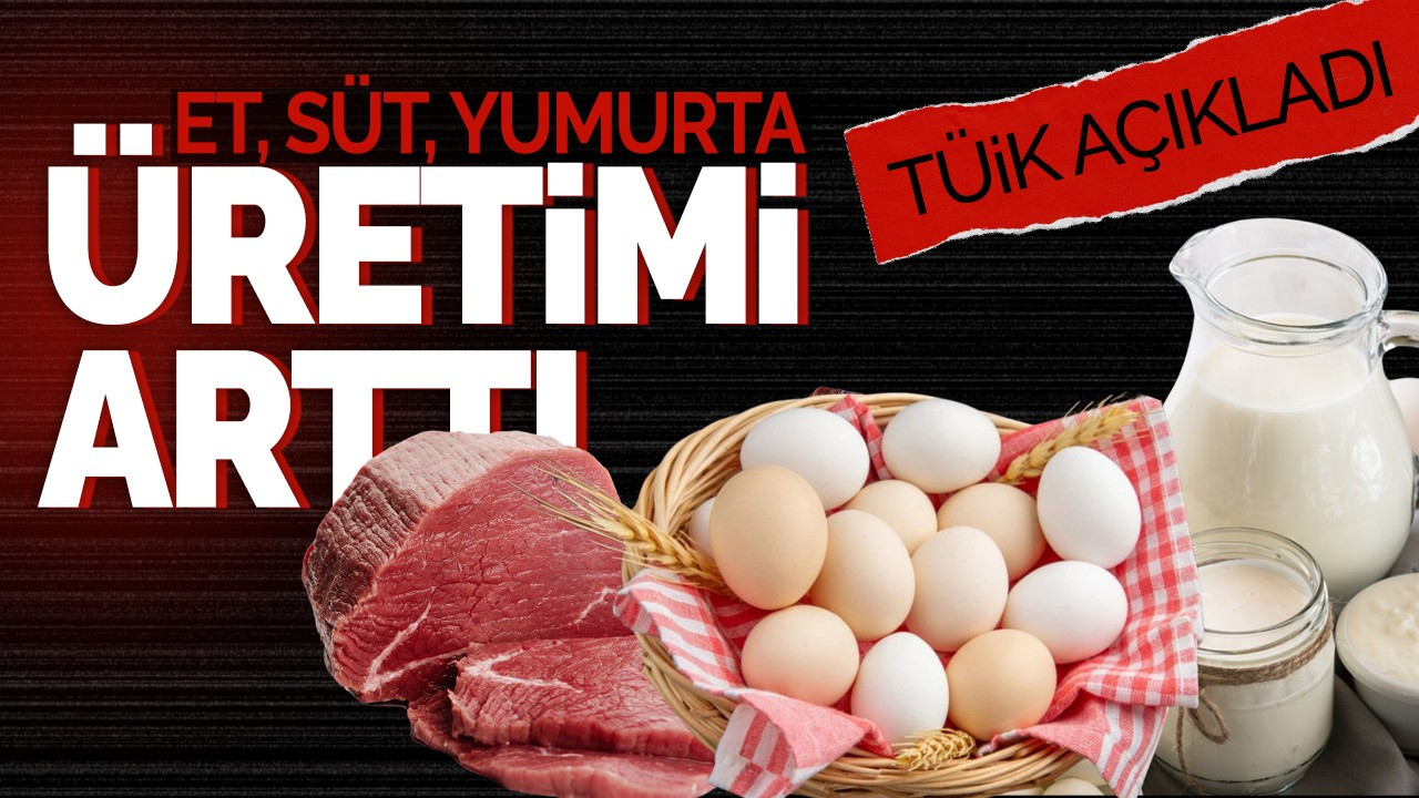 TÜİK açıkladı: Et, süt, yumurta üretimi arttı