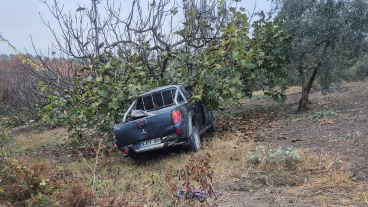 Mudanya'da Kamyonet Ağaçla Çarpınca 1 Ölü, 7 Yaralı