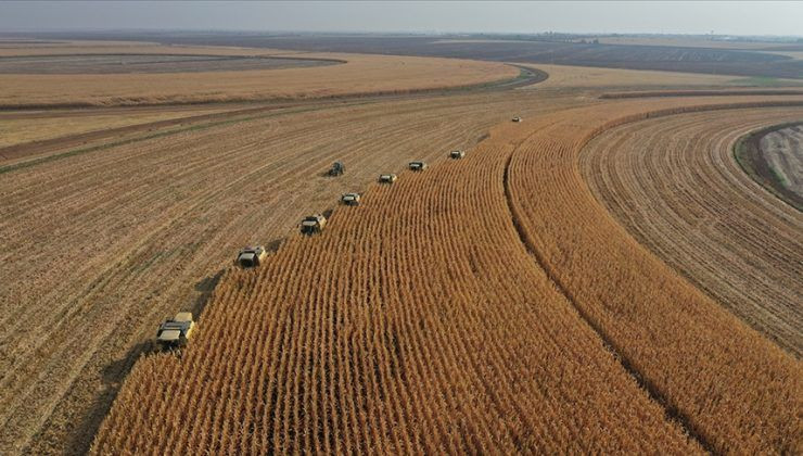 Çiftçiye güzel haber! Tarıma 11 milyar liralık destek! - Sayfa 1